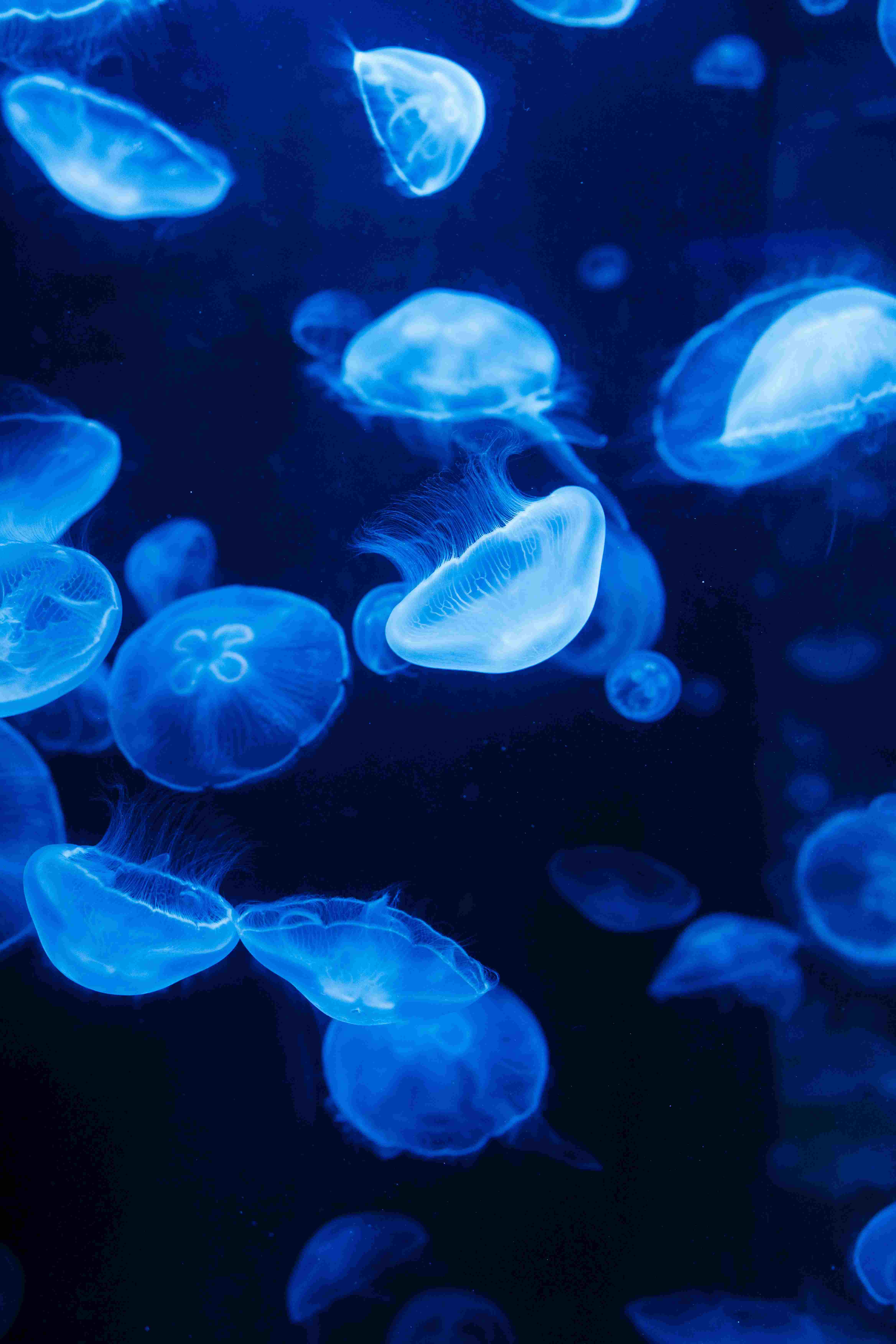 Spring AOP 参数绑定：从 0 到会（一页就懂版）😄