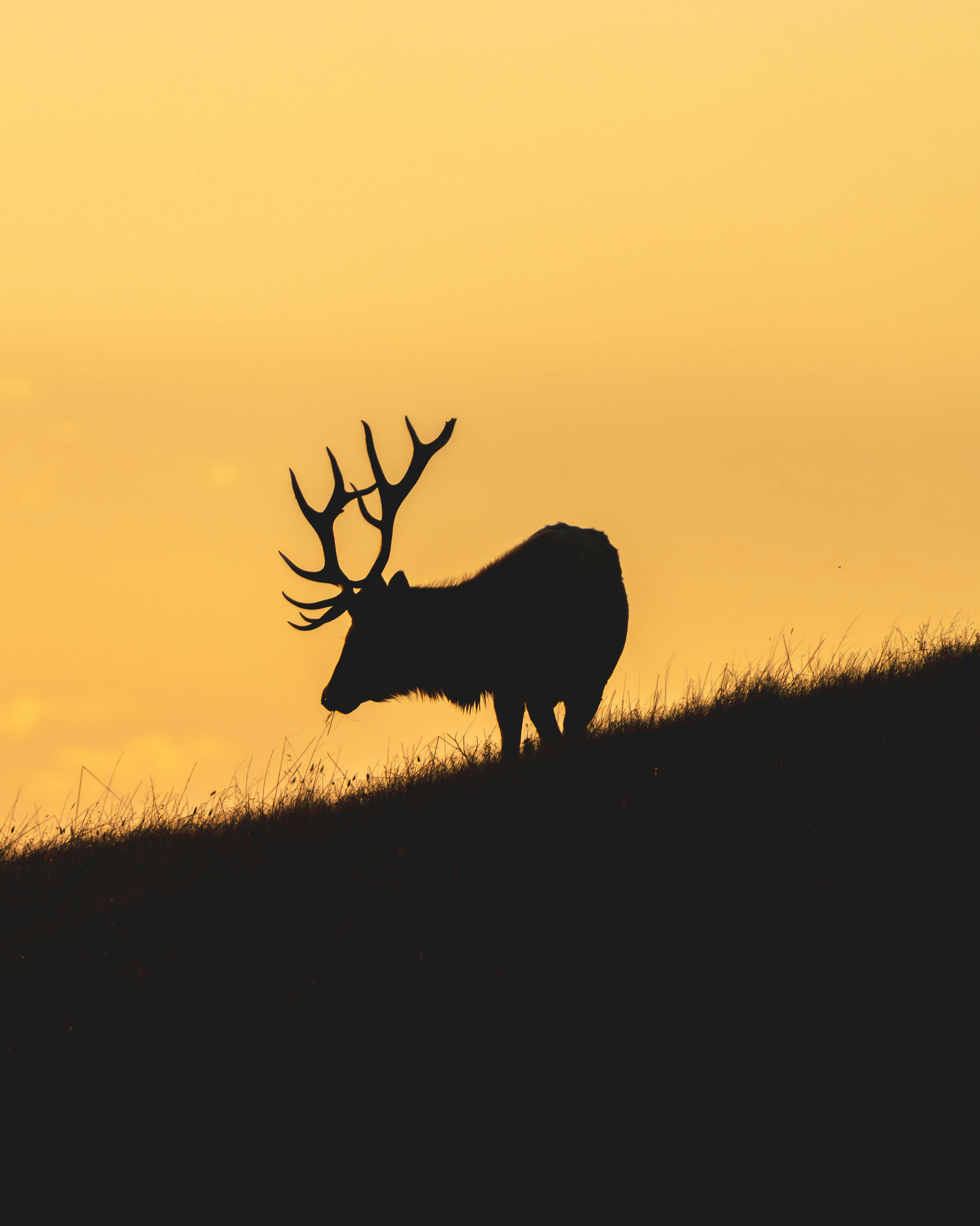 🌐 Cloudflare Tunnel vs ZeroTier：两个世界的内网穿透哲学