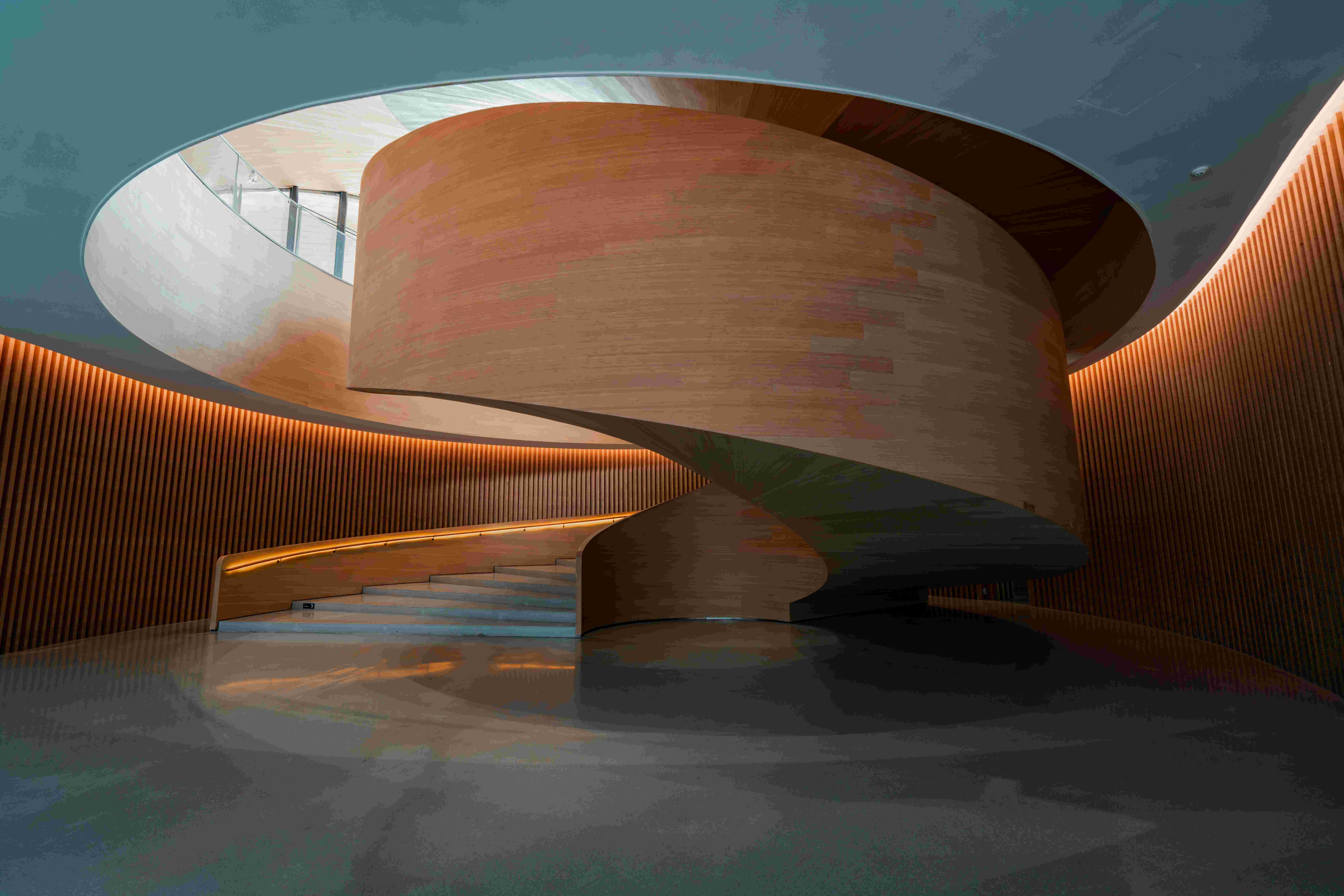 🍗别再给鹦鹉喂鸡腿了：AIGC 的幻觉与 AGI 的远方